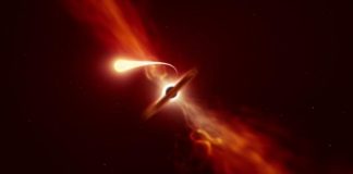 Space: ESO telescopes record last moments of star devoured by a black hole