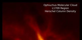 Space: Stars and planets grow up together as siblings