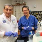 Research: CBD helps reduce lung damage from COVID by increasing levels of protective peptide