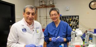 Research: CBD helps reduce lung damage from COVID by increasing levels of protective peptide