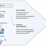 Research: Coronavirus infection may be part of a ‘perfect storm’ for Parkinson’s disease