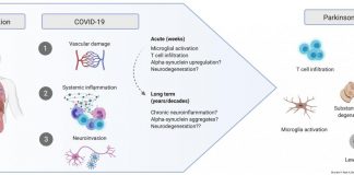 Research: Coronavirus infection may be part of a ‘perfect storm’ for Parkinson’s disease