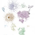 Research: Molecular processes in kidney cells may ‘prime’ diabetics for Coronavirus infection