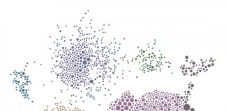 Research: Molecular processes in kidney cells may ‘prime’ diabetics for Coronavirus infection