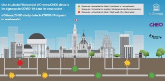 Research: OPH looks to CHEO/uOttawa study to help the community fight against COVID-19