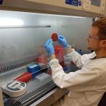 Supercharged ‘clones’ spark scarlet fever’s re-emergence (TDnews)