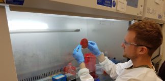 Supercharged ‘clones’ spark scarlet fever’s re-emergence (TDnews)