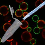 UQ tech could offer ‘faster, cheaper and mobile’ COVID-19 diagnosis (TDnews)