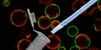 UQ tech could offer ‘faster, cheaper and mobile’ COVID-19 diagnosis (TDnews)