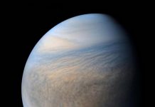 Venus might be habitable today, if not for Jupiter
