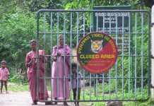 Wildlife conservation undermines the rights of indigenous people in India (TDnews)