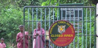 Wildlife conservation undermines the rights of indigenous people in India (TDnews)