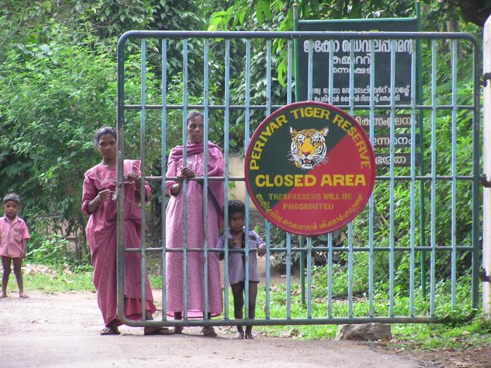Wildlife conservation undermines the rights of indigenous people in India