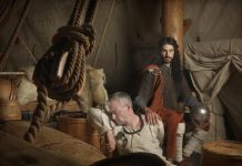 World’s largest DNA sequencing of Viking skeletons reveals they weren’t all Scandinavian (TDnews)