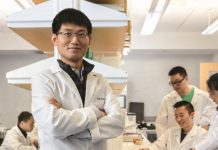 Yale cancer receives ACGT grant to advance strategies for treating pancreatic cancer (TDnews)