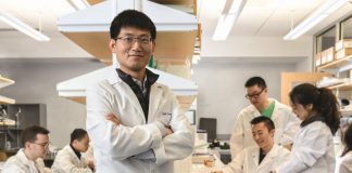 Yale cancer receives ACGT grant to advance strategies for treating pancreatic cancer (TDnews)