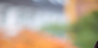 Archaeology: 10M euro ERC Synergy grant awarded for research of cognitive, cultural evolution of numeracy