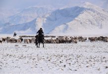 Archaeology: Bronze Age travel routes revealed using pioneering study method