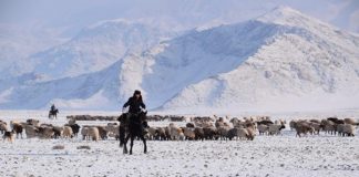 Archaeology: Bronze Age travel routes revealed using pioneering study method