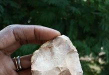 Archaeology: Middle Stone Age populations repeatedly occupied West African coast