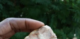 Archaeology: Middle Stone Age populations repeatedly occupied West African coast