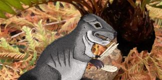 Archaeology: New species of ancient cynodont, 220 million years old, discovered