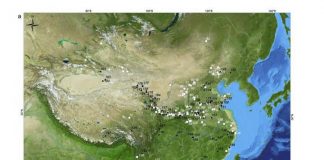 Archaeology: The long and complex history of cereal cuisine in ancient China