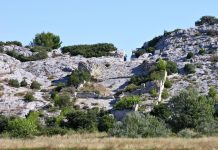 Archaeology: The unique hydraulics in the Barbegal water mills, the world’s first industrial plant