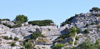 Archaeology: The unique hydraulics in the Barbegal water mills, the world’s first industrial plant