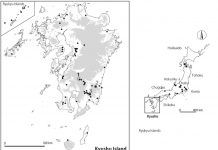 Archaeology: X-ray imaging of a beetle’s world in ancient earthenware