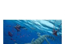 Biology: Ancient crocodiles’ family tree reveals unexpected twists and turns