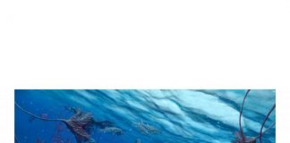 Biology: Ancient crocodiles’ family tree reveals unexpected twists and turns