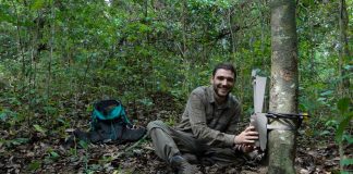 Biology: Rare species of small cats inadequately protected