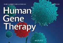 Biology: Risk of AAV mobilization in gene therapy