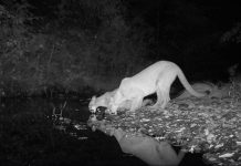 Biology: Stanford scientists develop DNA approach to forecast ecosystem changes