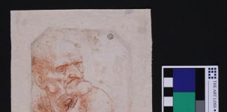 Biology: The microbiome of Da Vinci’s drawings