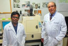 Biology: Vitamin C’s effectiveness against COVID may hinge on vitamin’s natural transporter levels