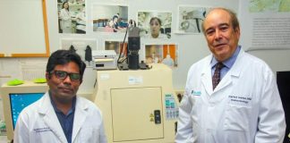 Biology: Vitamin C’s effectiveness against COVID may hinge on vitamin’s natural transporter levels