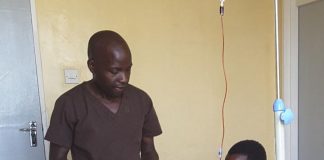 Biology: WEHI joins forces with World Health Organisation to combat anaemia