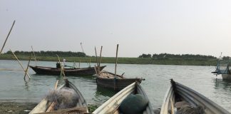 Biology: Waste fishing gear threatens Ganges wildlife