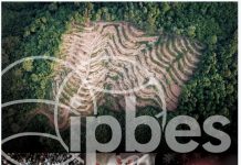 Climate Change: Escaping the ‘Era of Pandemics’: experts warn worse crises to come; offer options to reduce risk