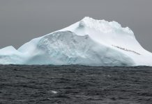 Climate Change: Evidence of the interconnectedness of global climate