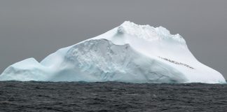 Climate Change: Evidence of the interconnectedness of global climate
