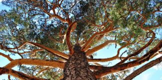 Climate Change: Irreversible hotter and drier climate over inner East Asia