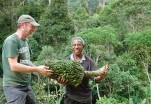 Climate Change: On the hunt for wild bananas in Papua New Guinea