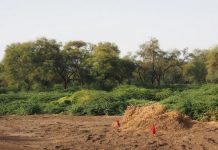 Climate Change: Restoration of degraded grasslands can benefit climate change mitigation and key ecosystem services