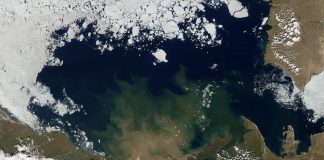 Climate Change: Rivers melt Arctic ice, warming air and ocean
