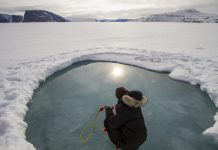 Climate Change: Synthesis research demonstrates phytoplankton can bloom below Arctic sea ice
