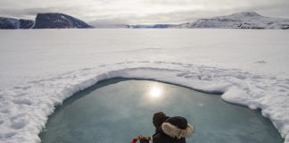 Climate Change: Synthesis research demonstrates phytoplankton can bloom below Arctic sea ice