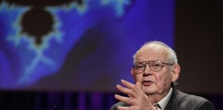VIDEO: Benoit Mandelbrot Explains Why Volatility is Not Your Friend Report: Benoit Mandelbrot Explains Why Volatility is Not Your Friend